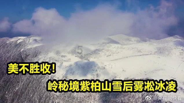 投篮得高分