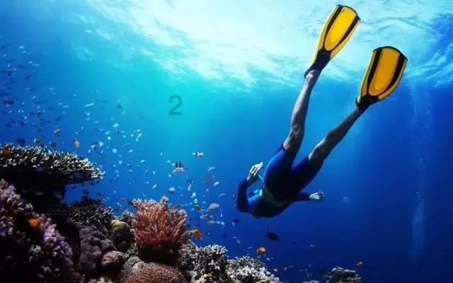 蒙托利沃:米兰无法与国米和尤文竞争冠军,不在同一个高度