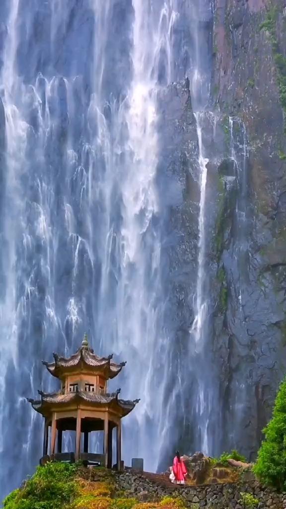 爱丽丝和闺蜜