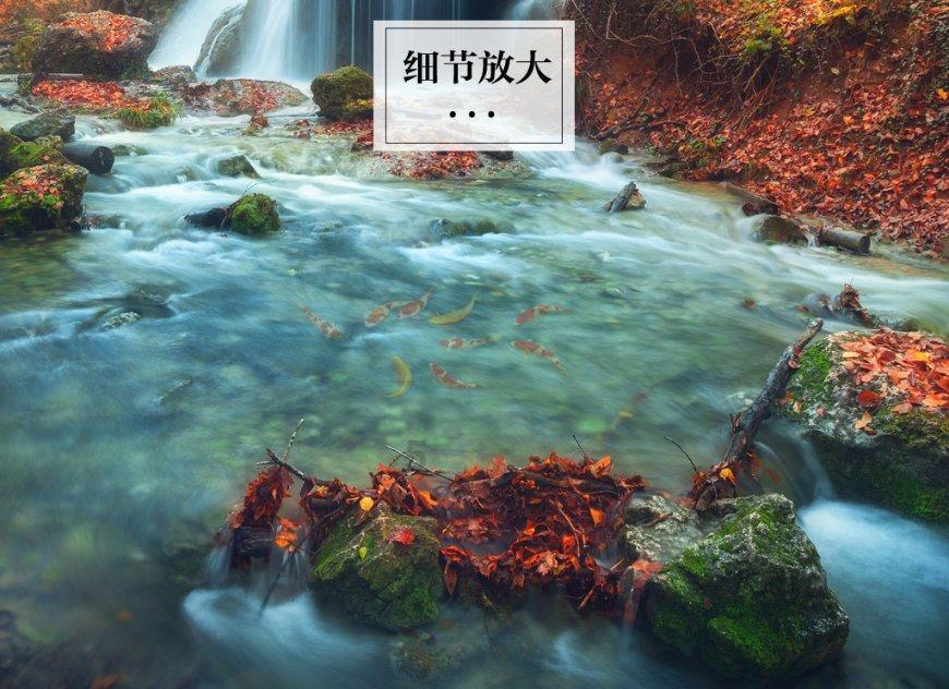 公主的大宫殿