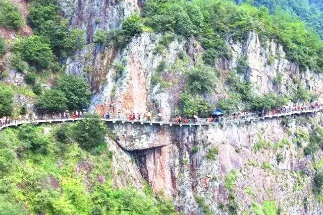 为什么董承和刘备要合谋除掉曹操呢？游戏画面