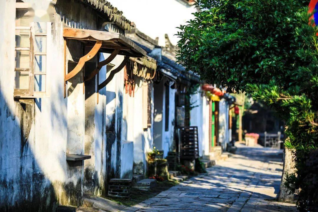 有教师资格证就可以考教师编制吗游戏画面